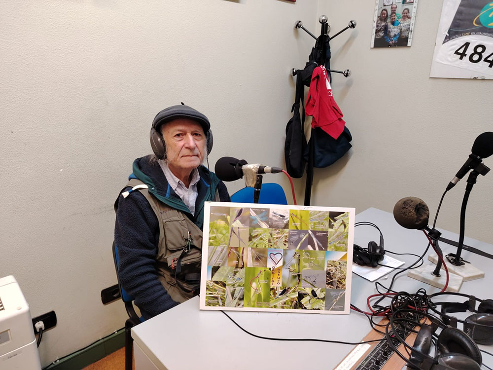 radio
